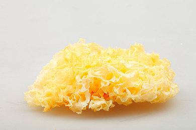 比R星先去佛州 《终极钓鱼模拟器》“佛罗里达”DLC正式发布